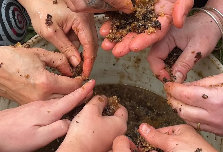 a circle of people's hands over a bucket of liquid preparing honeycomb for a herbal remedy
