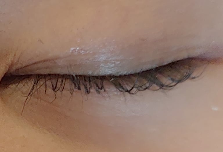 Lashlift2