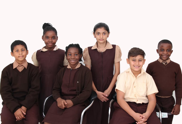 Springfields Primary School- Students Learning