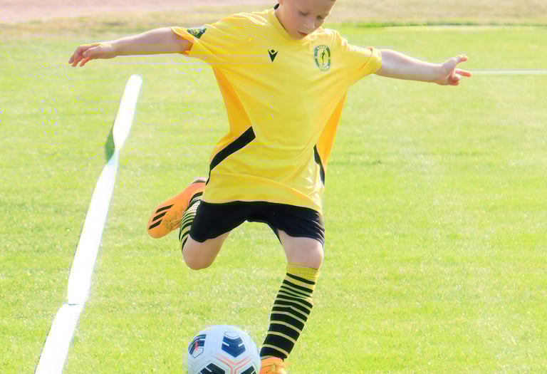 Colaborare - Start Suceava