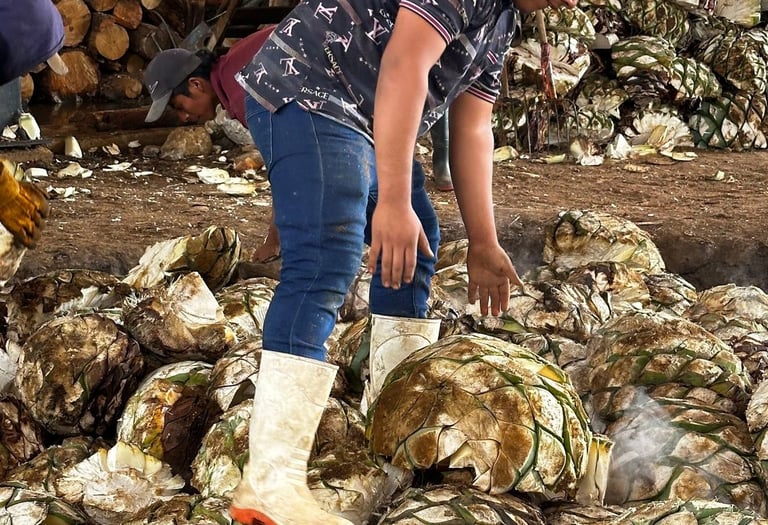 a man is standing in a pile of oysters