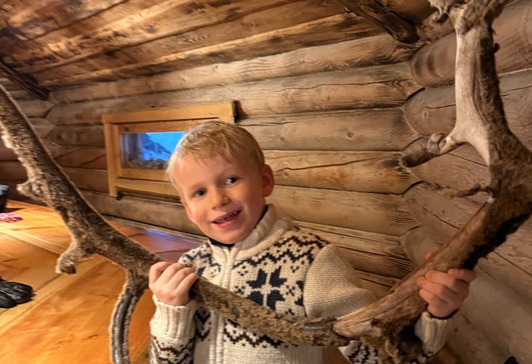 Reindeer Antler