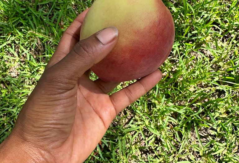 hand holding peach business support team