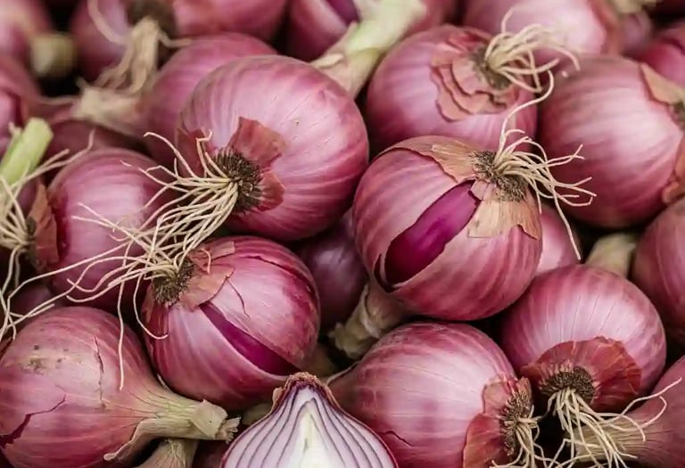 fresh pink onion