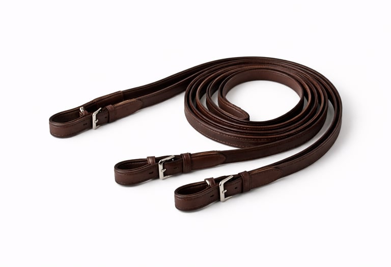 Leather horse reins for riding.