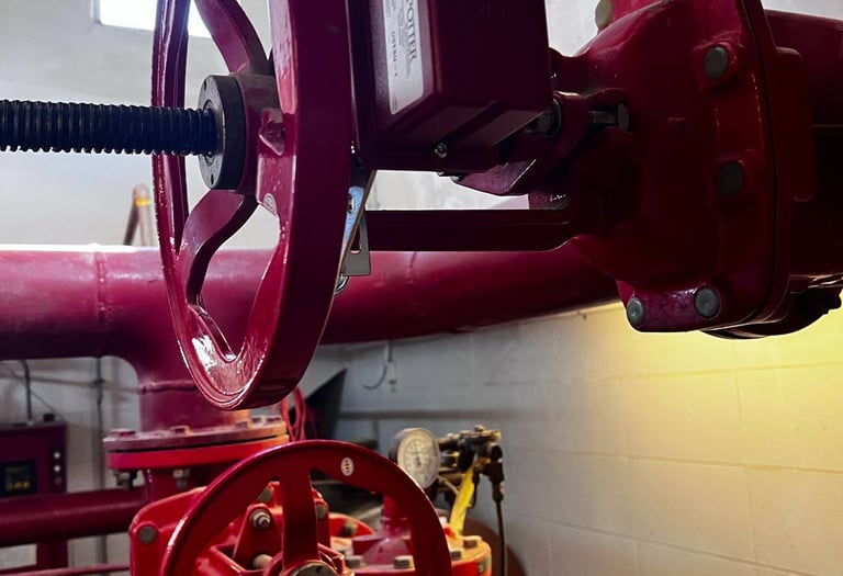 اعمال تكامل الانظمة الامنية 