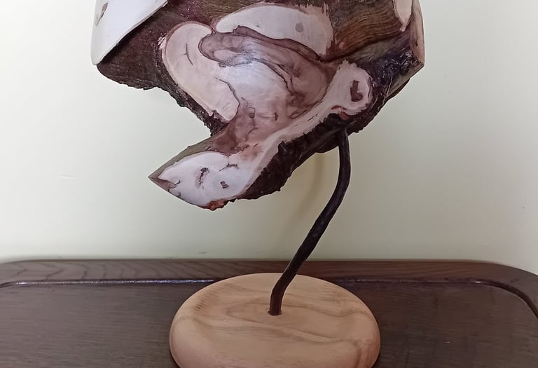 Sculpture of turned ivy branches mounted on a rusted bar on a flat turned oak stand