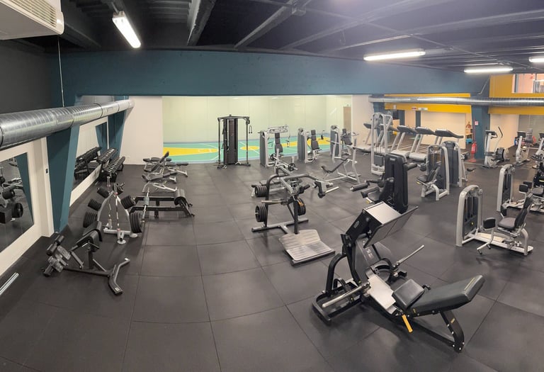 Vista panoramica della sala attrezzata della palestra Move 2 Grow a Milano, con macchinari per allenamenti di forza e cardio