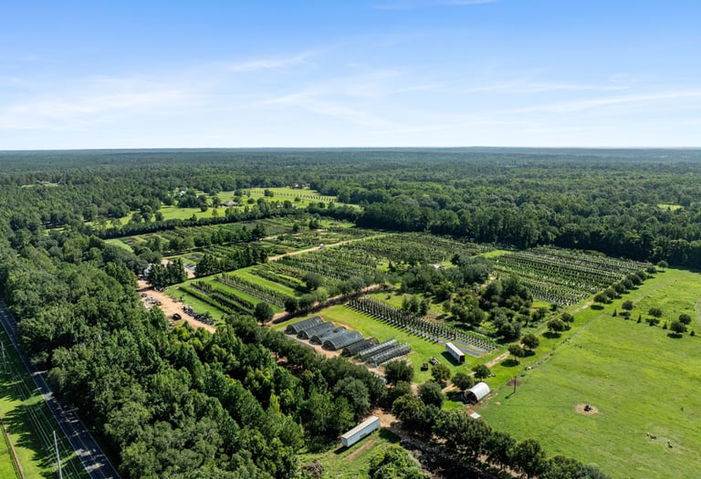 Drone image of agriculture field