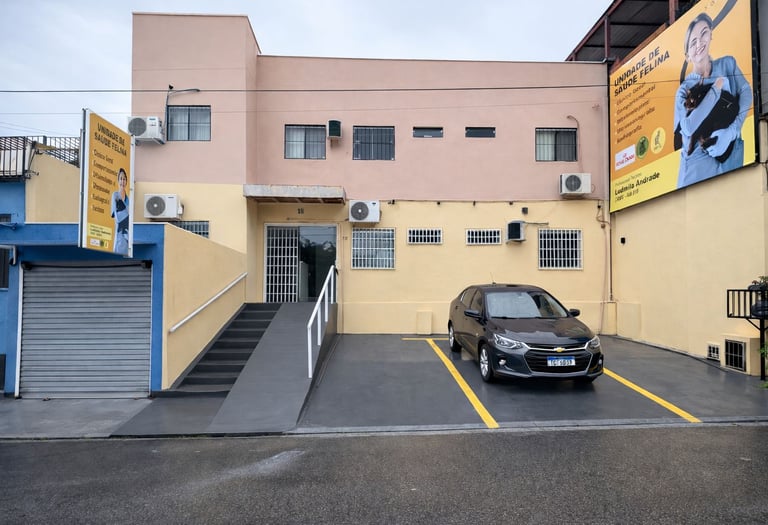 Clínica para gatos em Manaus