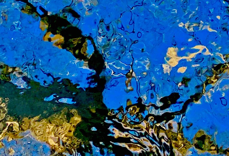 a tree branch in the water with a blue sky