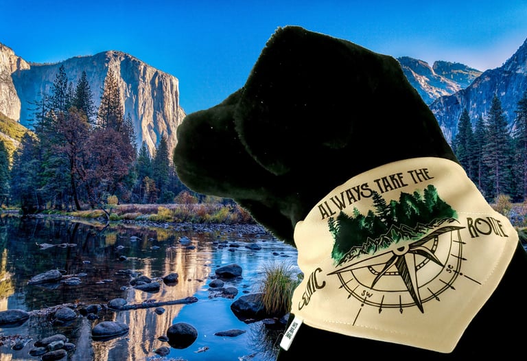 Dog wearing an outdoor themed bandana.