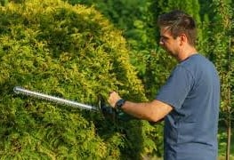 a man cutting a hedge