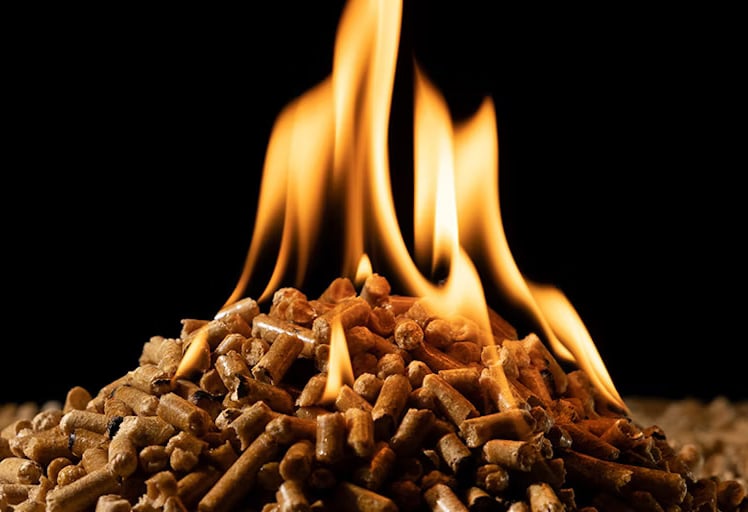Biomass Pellets