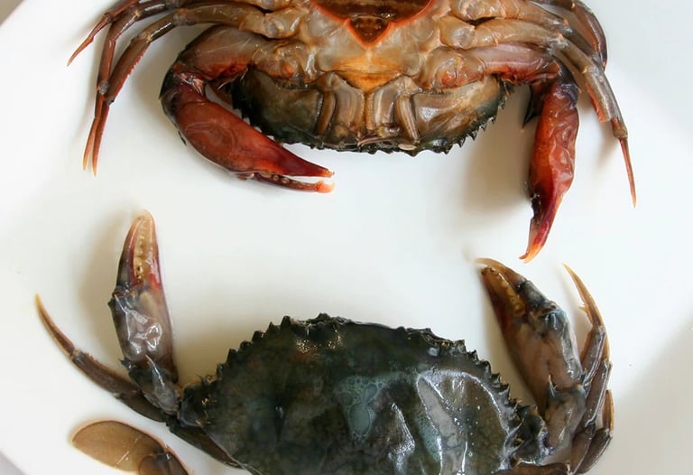 soft-shell crabs