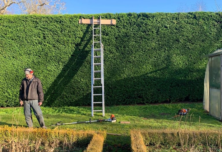 hedge cutting bridgnorth