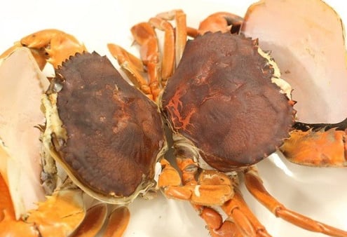 double skinned crabs