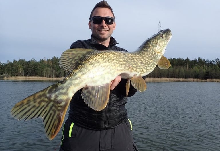 En fiskare håller i en gädda.