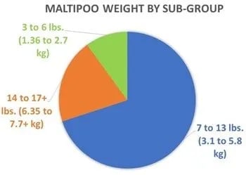 maltipoo-adult-weight-chart-subgroup1-c-min-1920w (1)