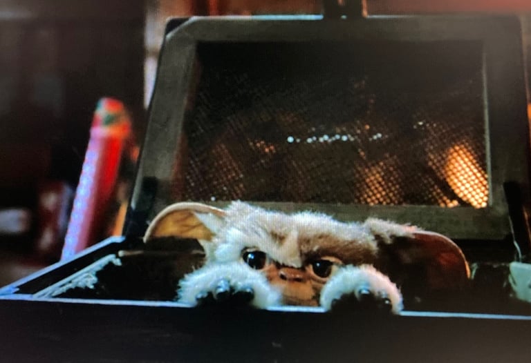 Gremlins - Gizmo Introduced