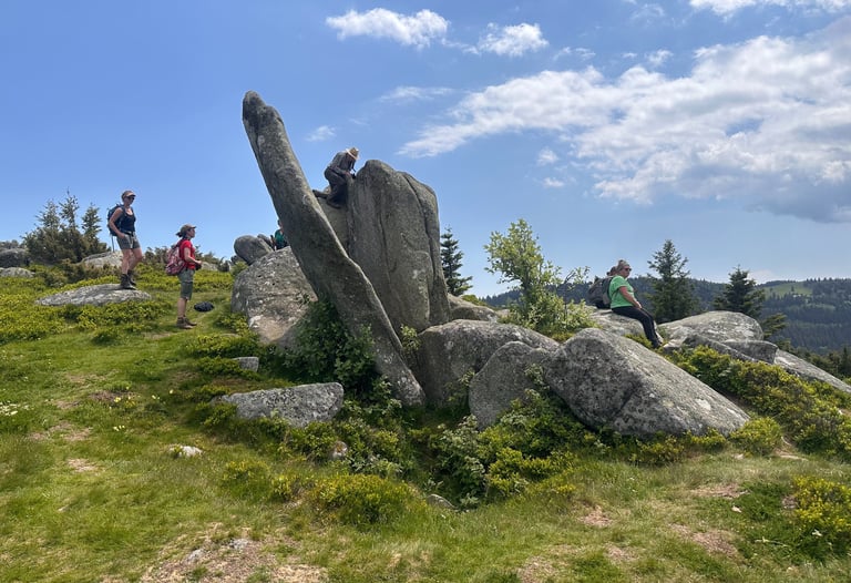 site magnifique et énergétique zone tellurique traditions celtes