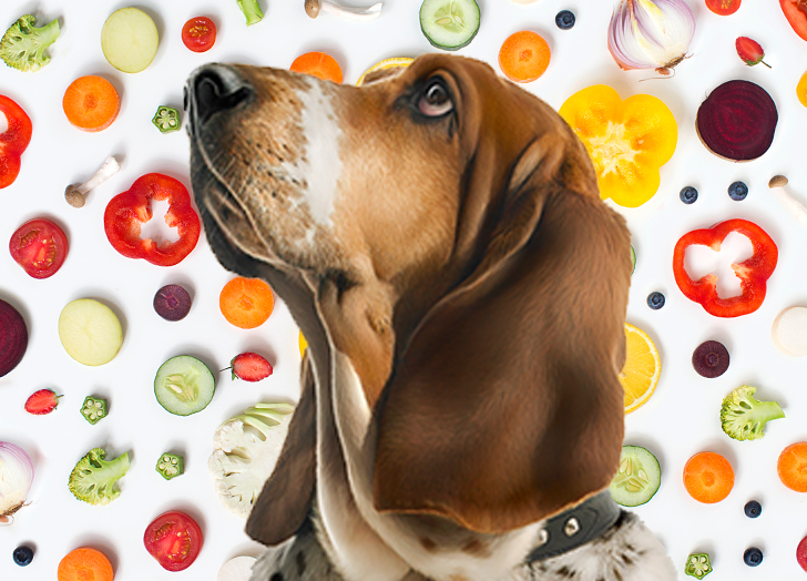 Vegan dog food recipe vegetables and fruit