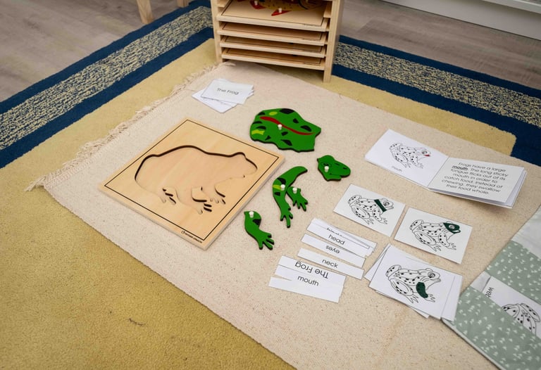 Parts of a frog Puzzle