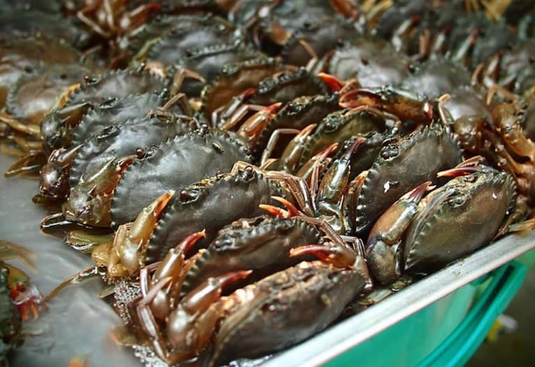 vietnamese crab supplier