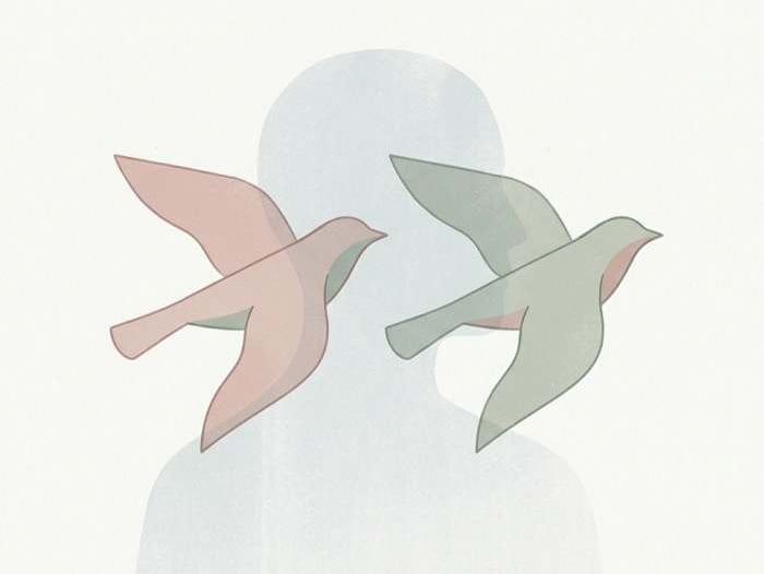 Minimal illustration of birds and a human silhouette representing shared behavioural patterns in nature