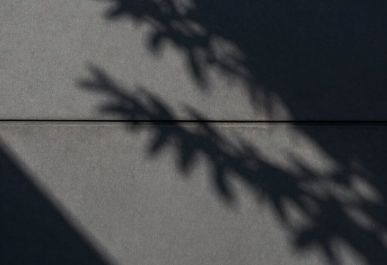 Clean, architectural shot of an exterior wall with shadow patterns from a nearby tree, South American / Chilean afternoon sun, dark gray tones.