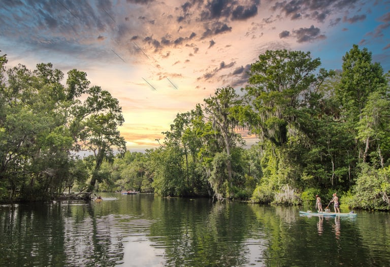 Chassahowitzka River, kayaking on the Chassahowitzka, florida's nature coast