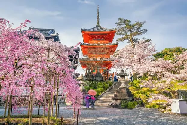 Kiyomizu-dera Temple pagoda during cherry blossom season in Kyoto.