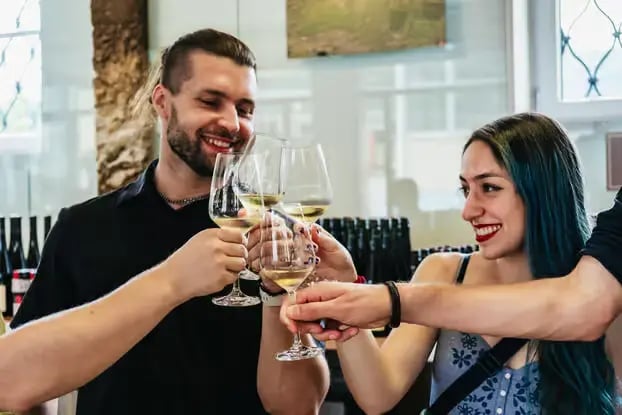 Travelers clinking glasses of white wine during a small-group winery tour in Austria.