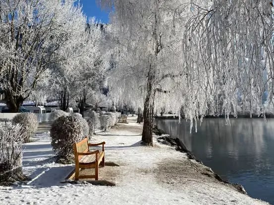 Frosted winter trees and bench by Lake Zell scenic promenade Austria.