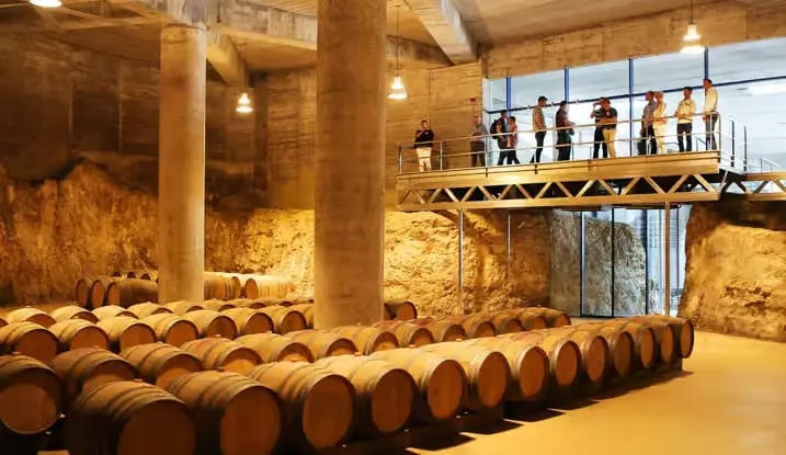 Oak barrel cellar at a Catalan winery on the supercar route from Barcelona