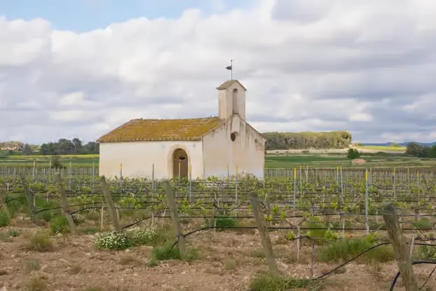 Historic chapel surrounded by grapevines in the Penedes wine region Spain