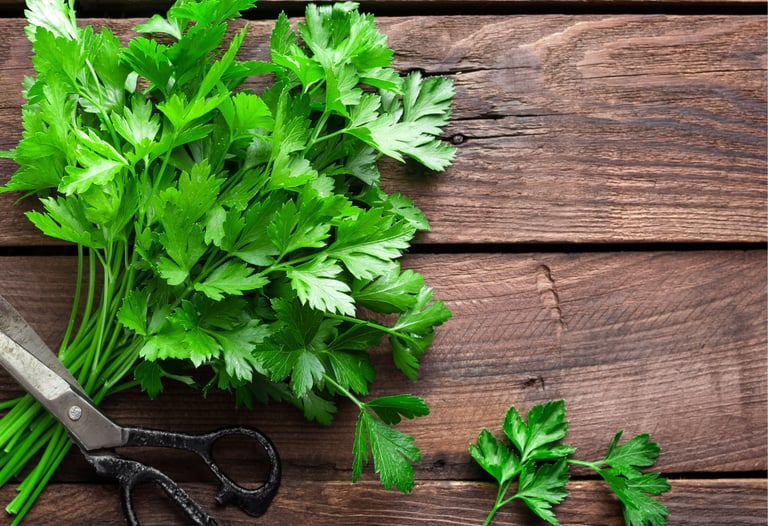 PARSLEY