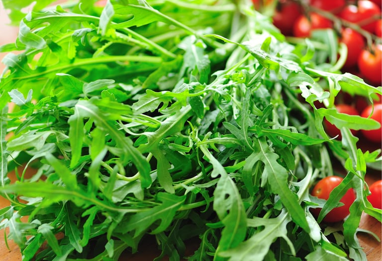 WILD ROCKET