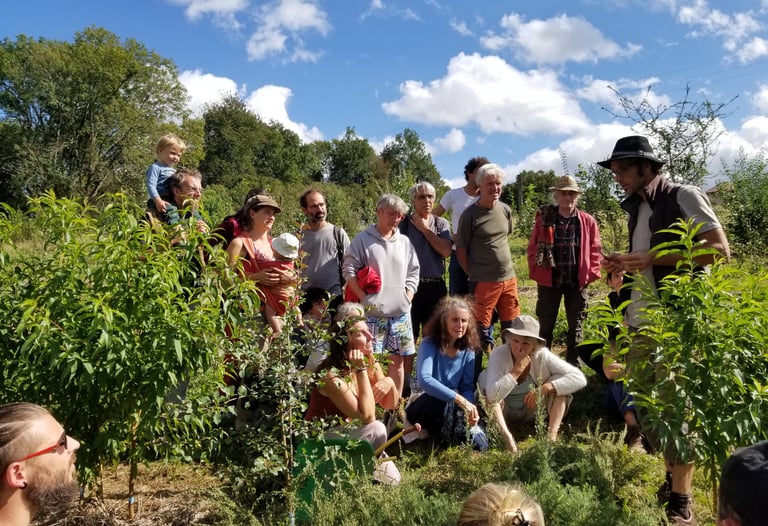 atelier de taille douce des arbres fruitiers