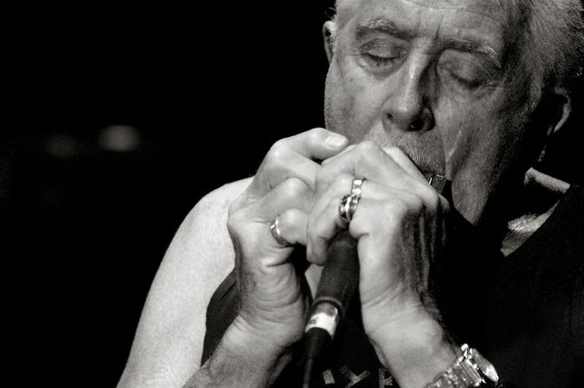 john mayall suona l'armonica