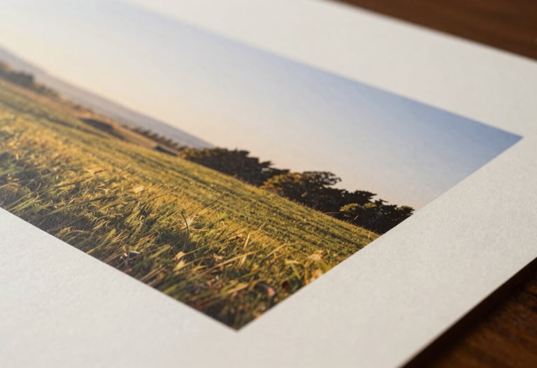 A close-up of a finished print featuring a sun-drenched landscape, the ink sitting slightly raised on high-quality cream paper with a soft texture.