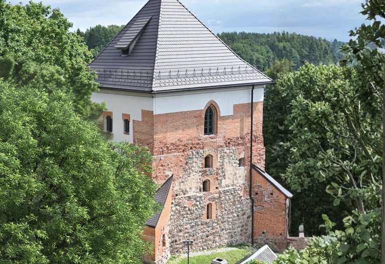 Trakų pusiasalio pilies liekanų ir kitų statinių komplekso pilies liekanos