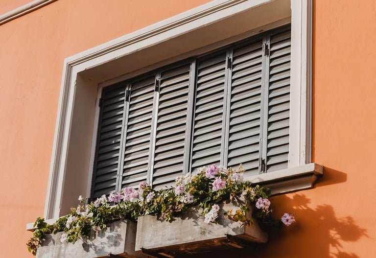 façade de maison gros plan sur fenêtre avec volets battants fermés et pots de fleurs