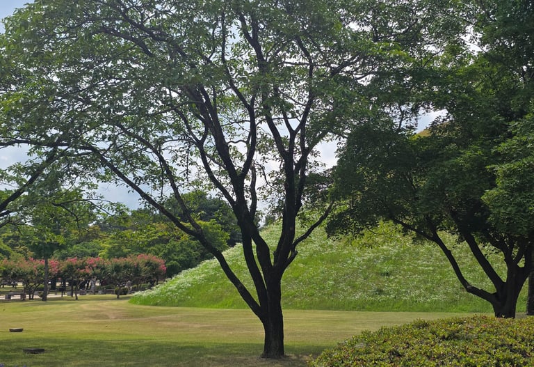 Tumuli view