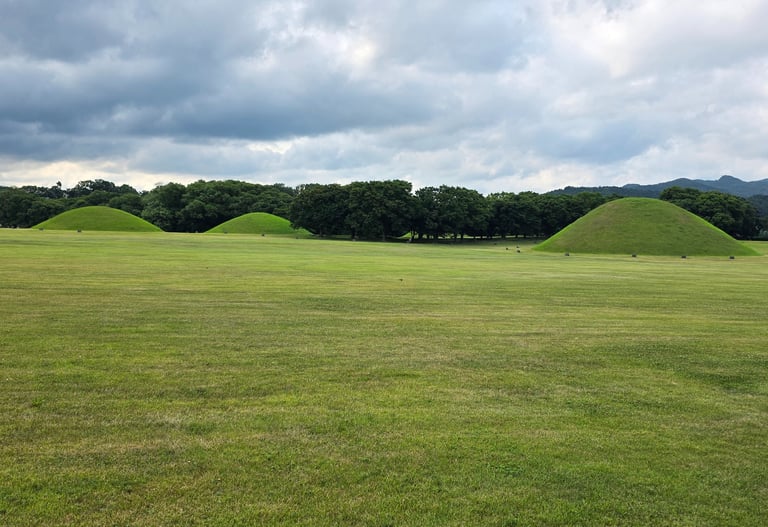 Field with tumuli