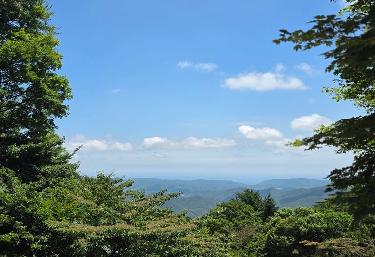 Gyeongju view from Tohamsan Mountain