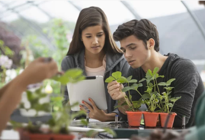 students in greenhouse