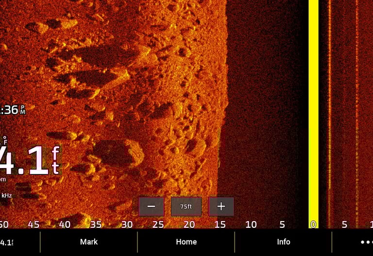 side imaging of rocks and bolders on Garmin sonar