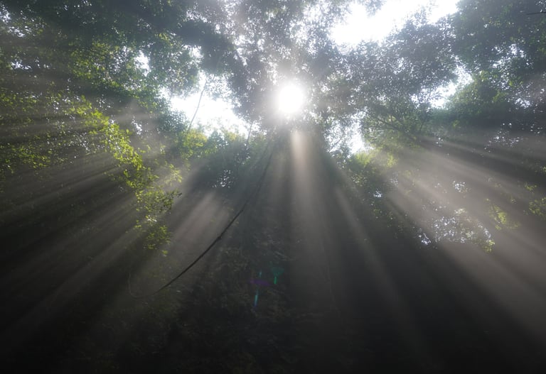 finally emerging from the exit of hang son doong cave, Vietnam