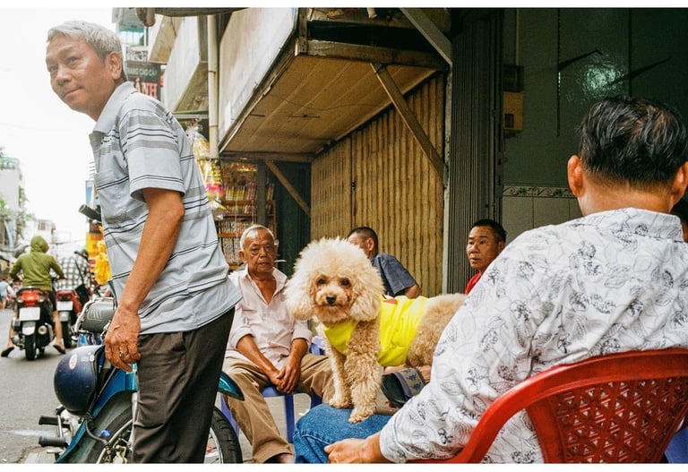 Dog shot on film on the street of Saigon